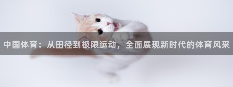 Vsport体育官方网站入口：中国体