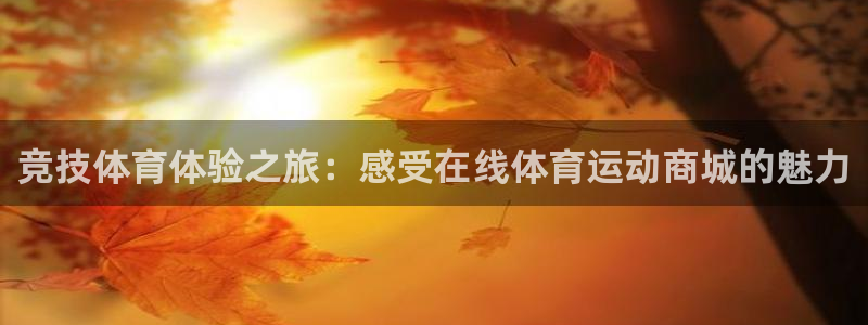 vsport体育：竞技体育体验之旅：
