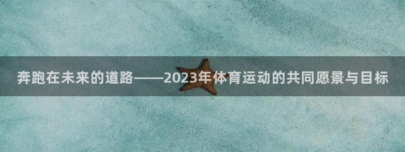 Vsport体育官方网站入口